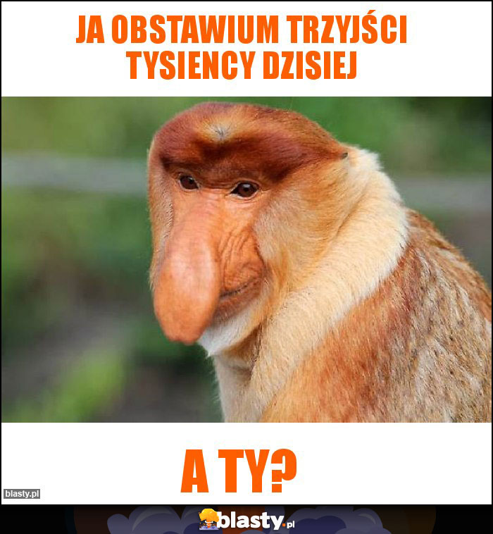 Ja obstawium trzyjści tysiency dzisiej