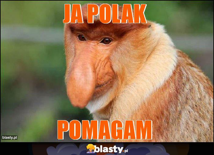 JA POLAK