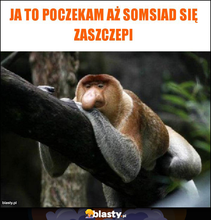 Ja to poczekam aż somsiad się zaszczepi