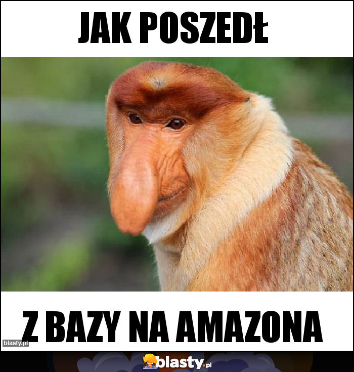 Jak poszedł