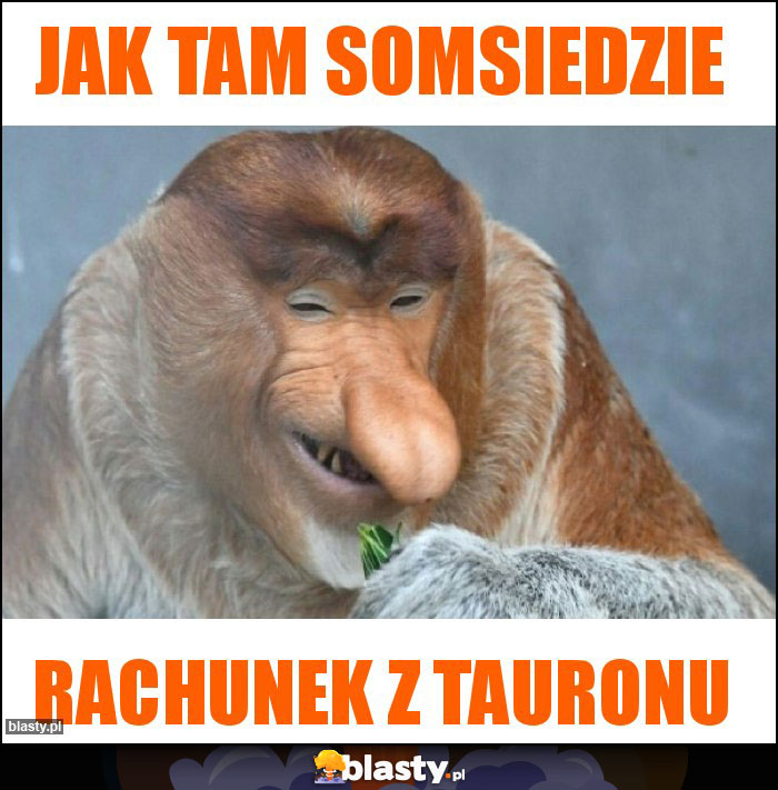 Jak tam somsiedzie