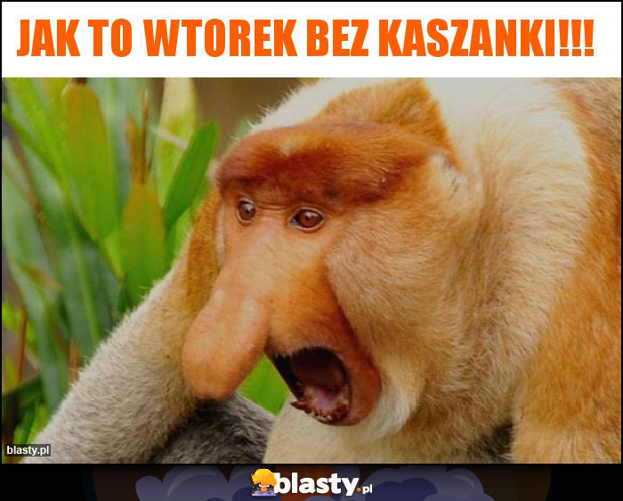 Jak to wtorek bez kaszanki!!!