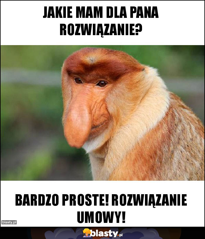 Jakie mam dla pana rozwiązanie?