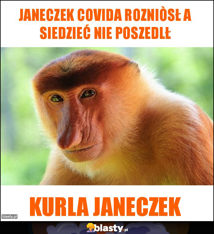 Janeczek covida rozniòsł a siedzieć nie poszedlł