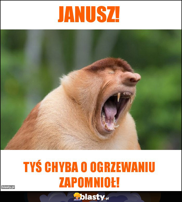 Janusz!