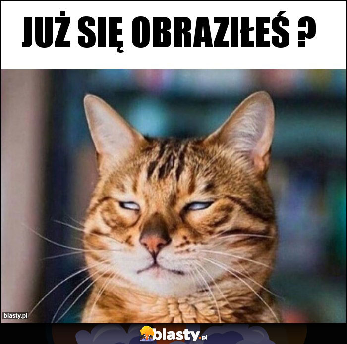 Już się obraziłeś ?