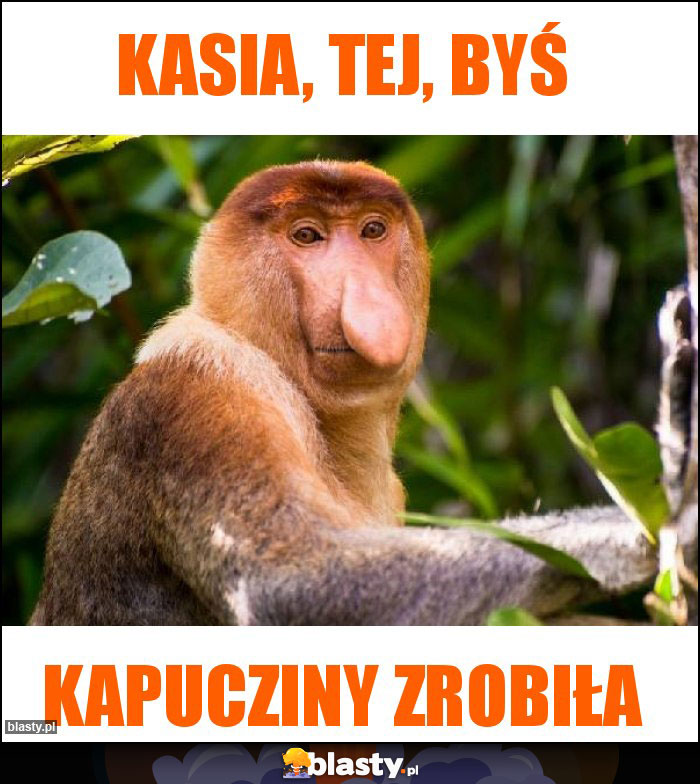 KASIA, TEJ, BYŚ