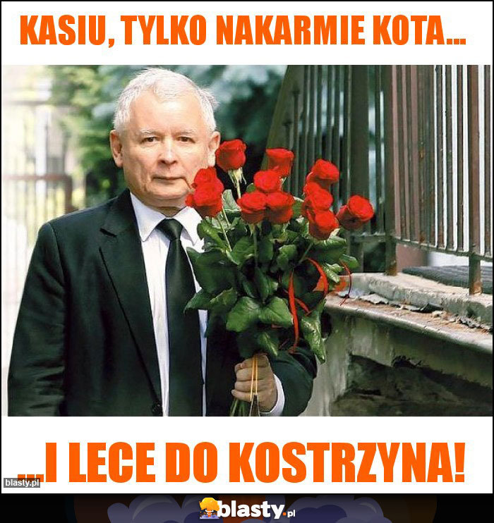 Kasiu, tylko nakarmie kota...