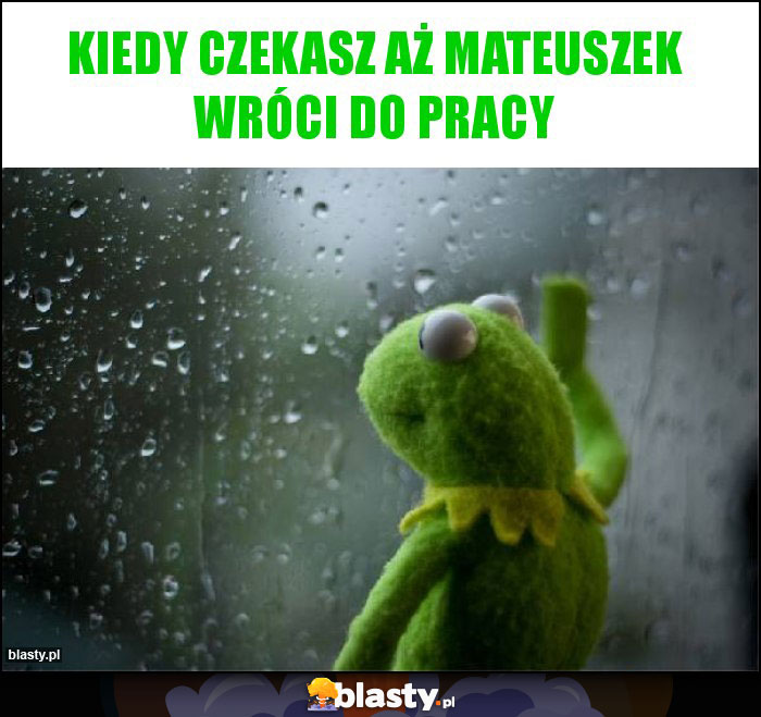 Kiedy czekasz aż Mateuszek wróci do pracy