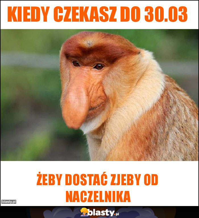 Kiedy czekasz do 30.03