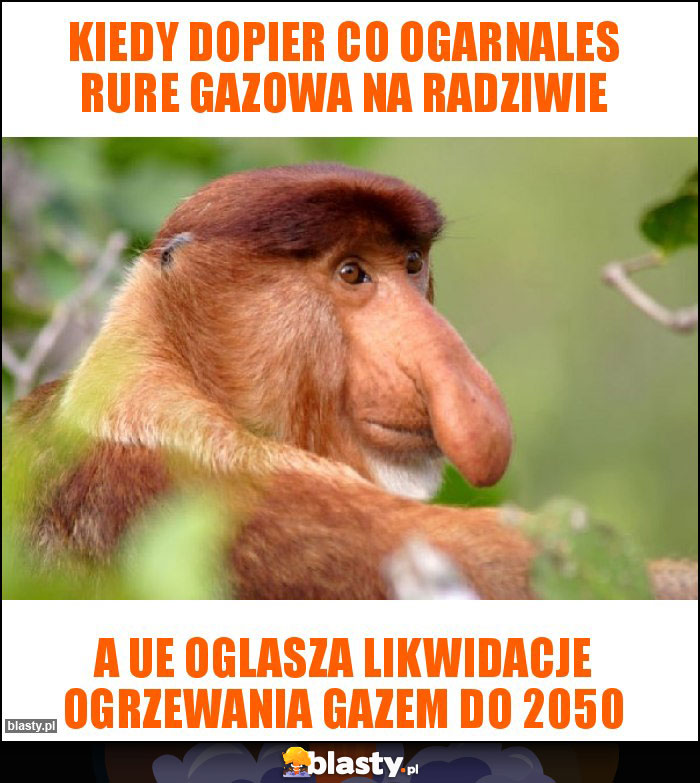 Kiedy dopier co ogarnales rure gazowa na radziwie