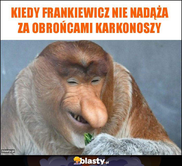 KIEDY FRANKIEWICZ NIE NADĄŻA ZA OBROŃCAMI KARKONOSZY