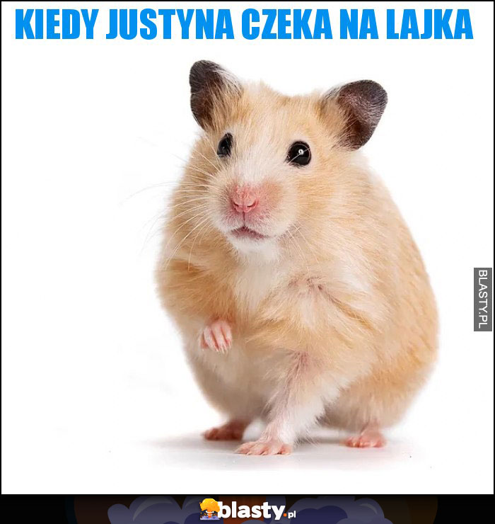 Kiedy Justyna czeka na lajka