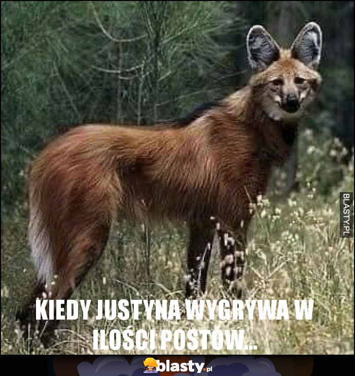 Kiedy Justyna wygrywa w ilości postów...