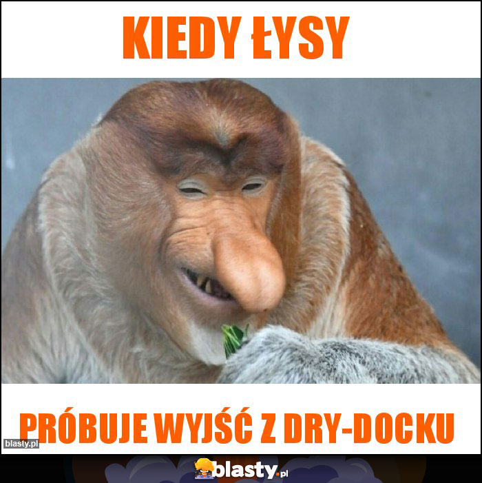 Kiedy łysy