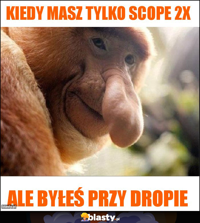 Kiedy masz tylko scope 2x