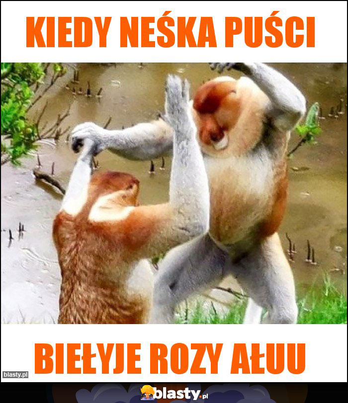 KIEDY NEŚKA PUŚCI