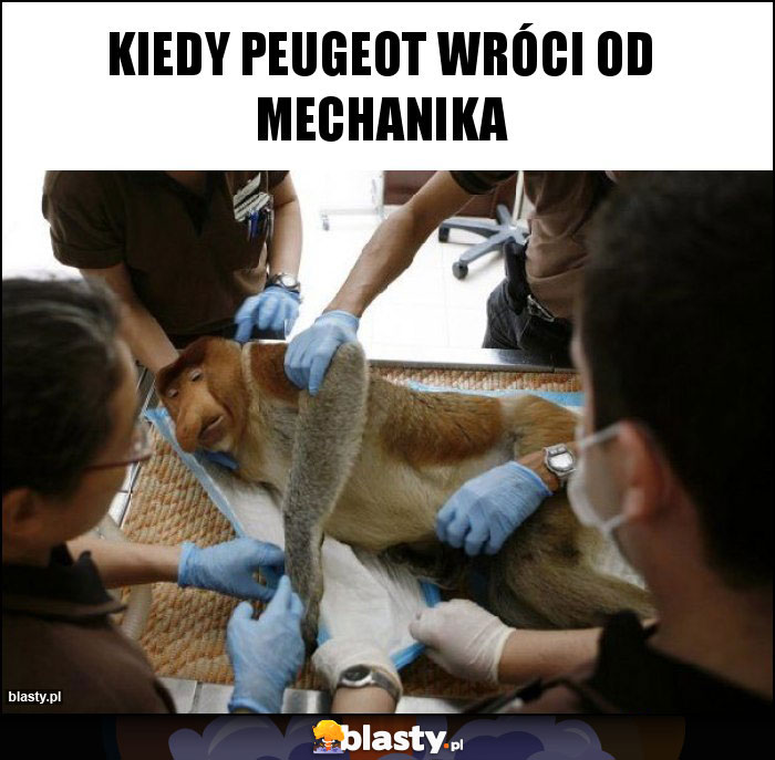 Kiedy peugeot wróci od mechanika