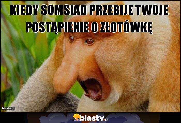 kiedy somsiad przebije twoje postąpienie o złotówkę