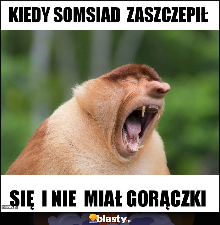 Kiedy somsiad  zaszczepił