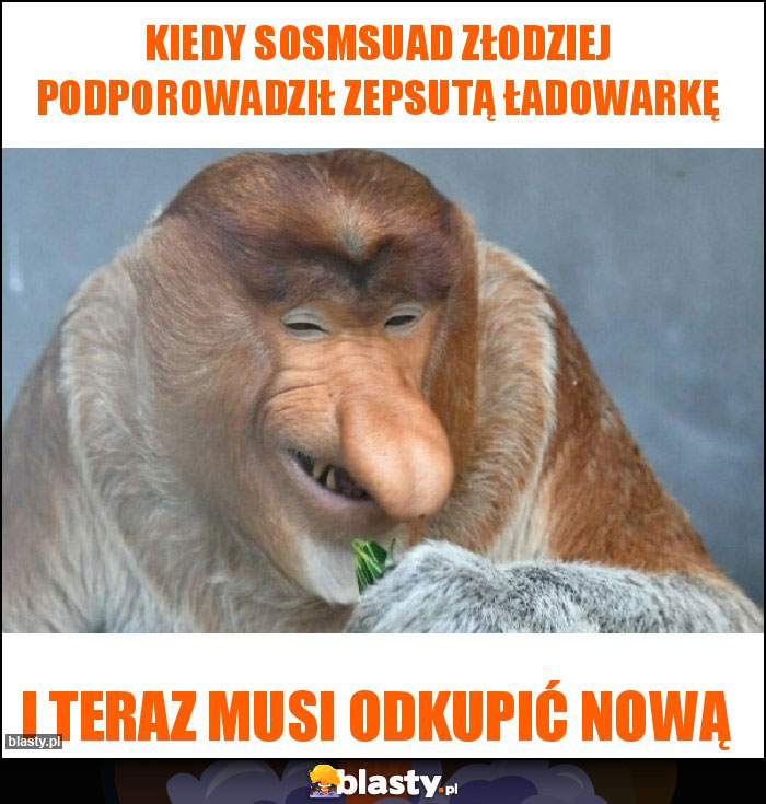 Kiedy sosmsuad złodziej podporowadził zepsutą ładowarkę