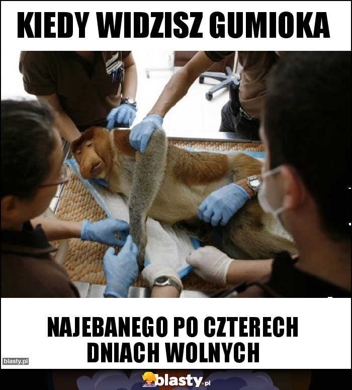 KIEDY WIDZISZ GUMIOKA