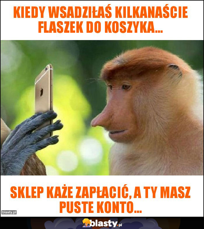 Kiedy wsadziłaś kilkanaście flaszek do koszyka...