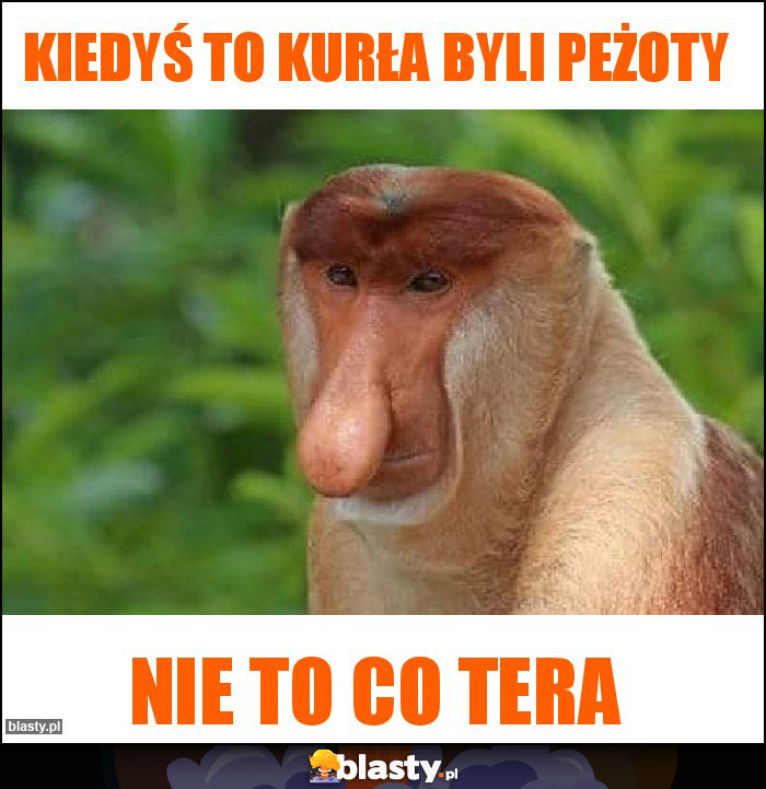 Kiedyś to kurła byli peżoty