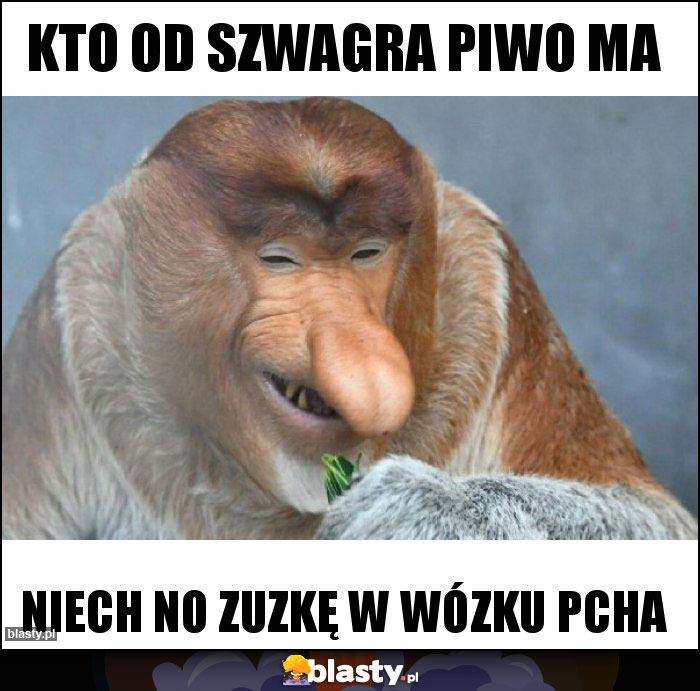 Kto od szwagra piwo ma