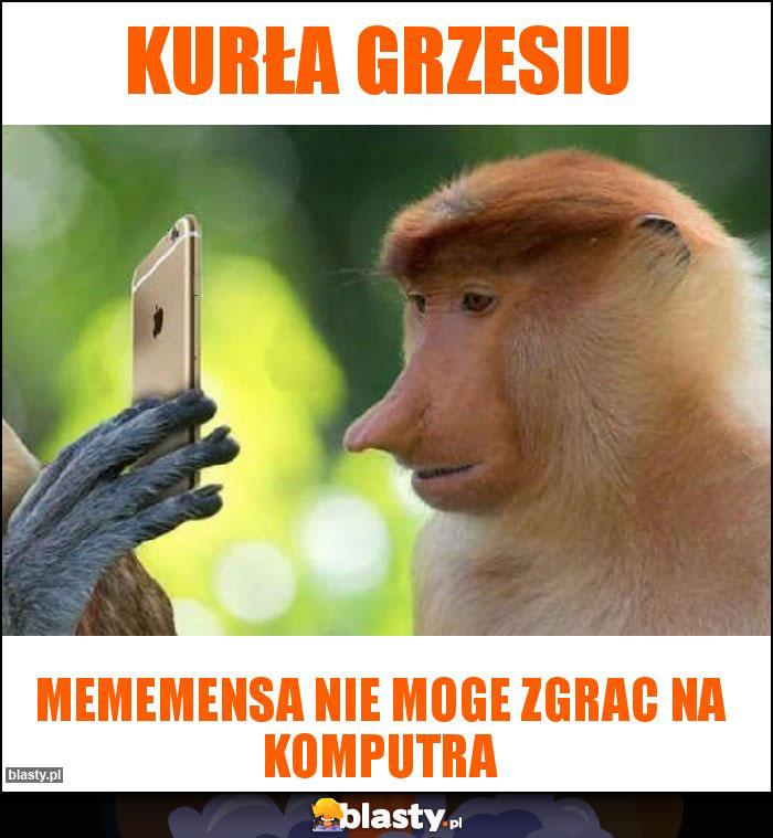 Kurła grzesiu