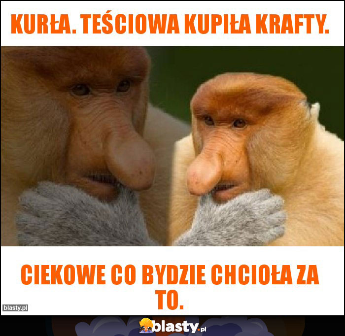 Kurła. Teściowa kupiła krafty.