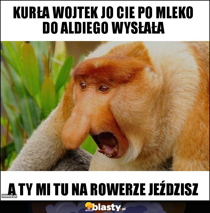 Kurła Wojtek jo Cie po mleko do Aldiego Wysłała