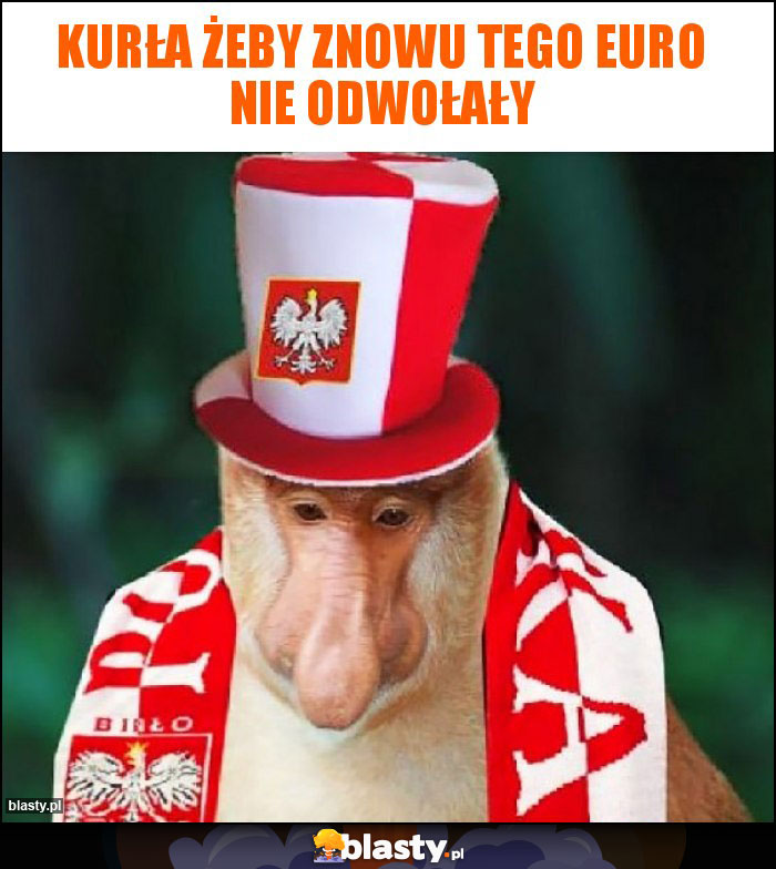 KUrła żeby znowu tego euro nie odwołały