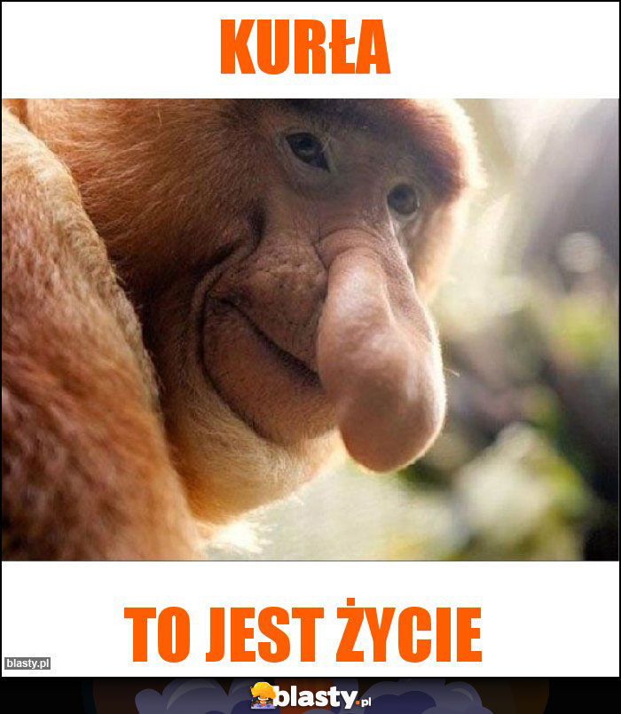 Kurła