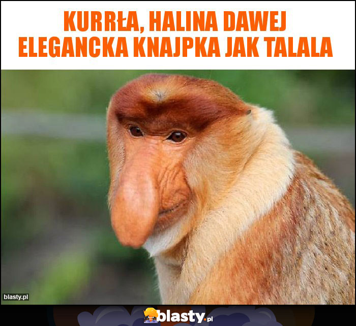 kurrła, Halina dawej elegancka knajpka jak talala