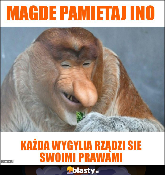 Magde pamietaj ino