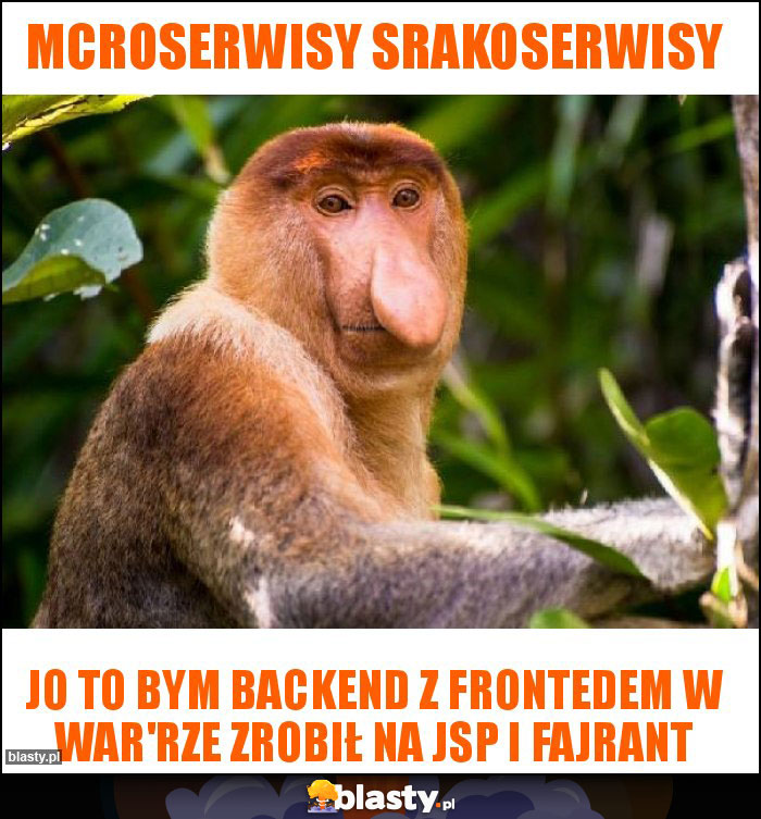 Mcroserwisy srakoserwisy