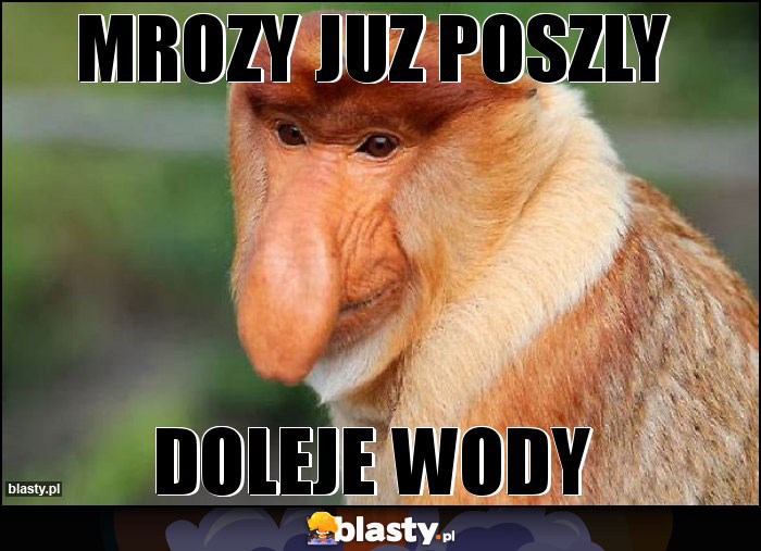 MROZY JUZ POSZLY