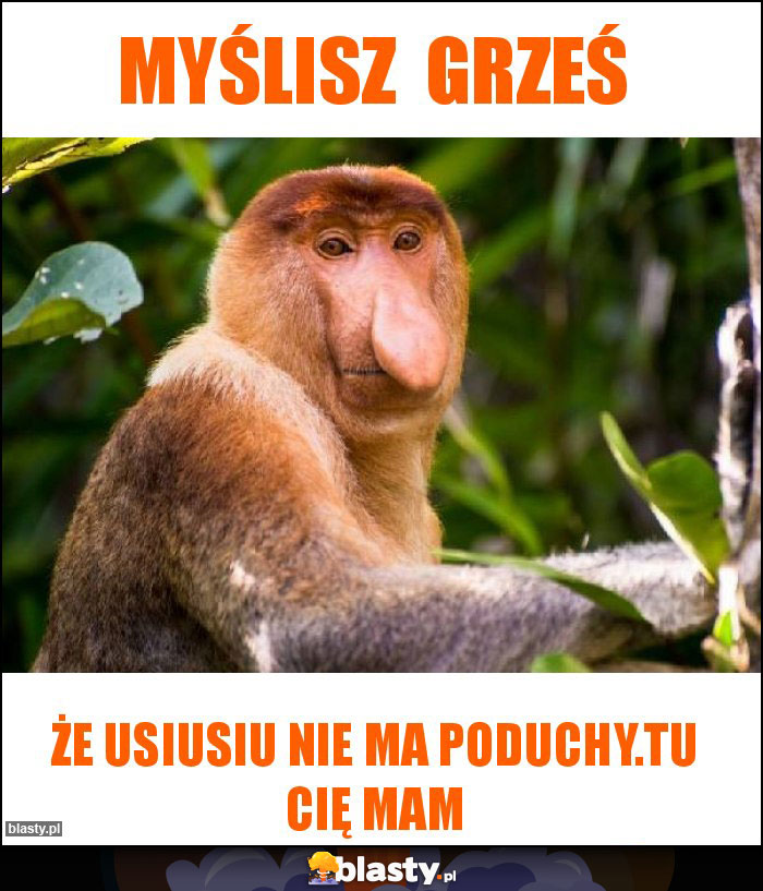 Myślisz  Grześ