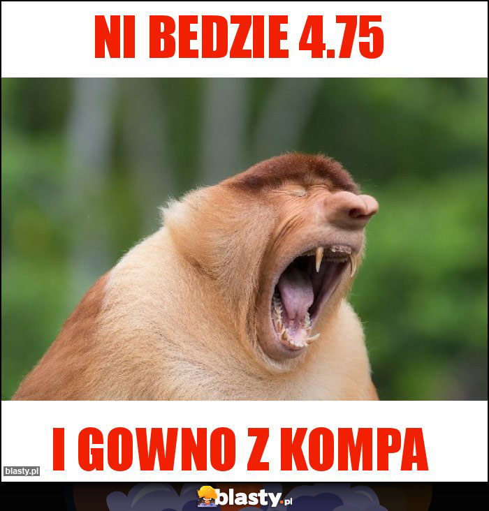 NI BEDZIE 4.75