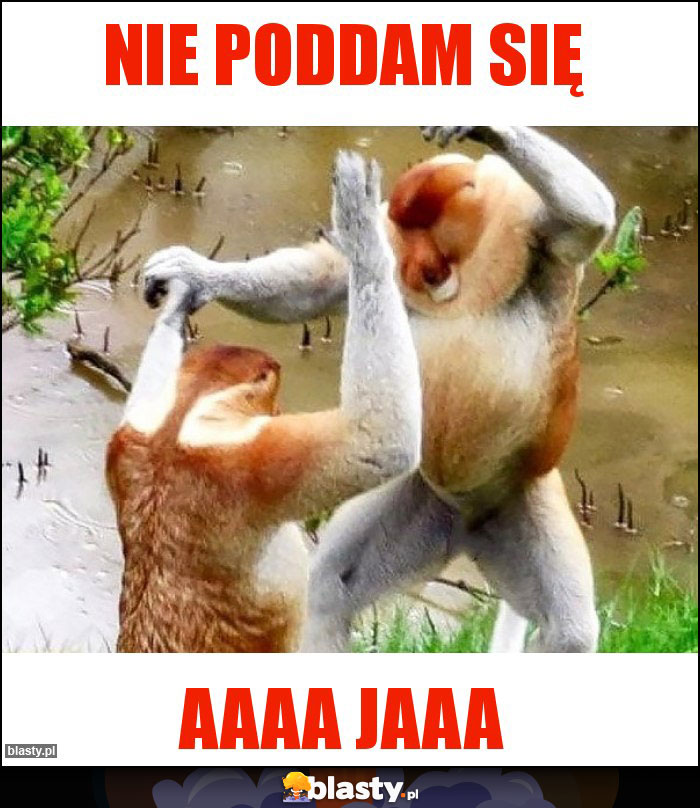 Nie poddam się