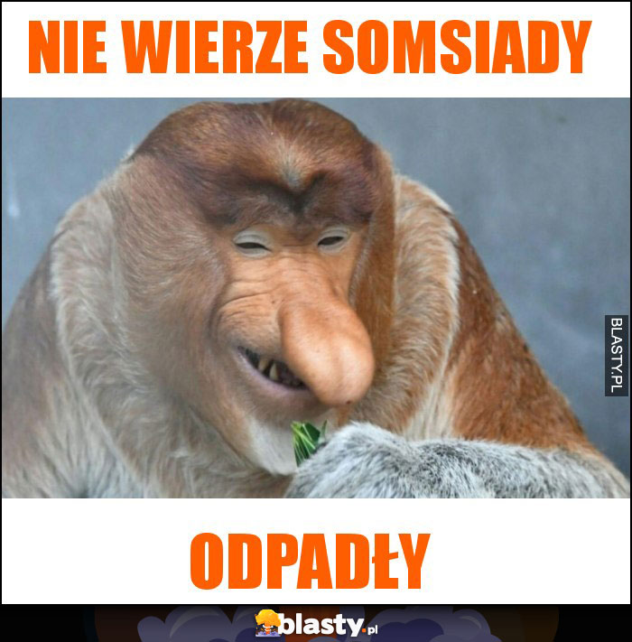 Nie wierze somsiady