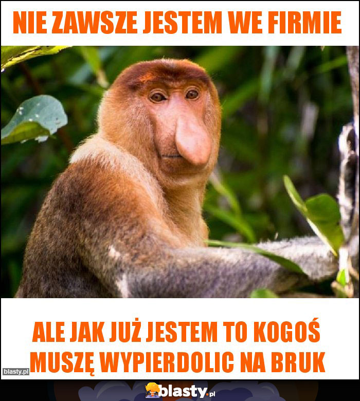 Nie zawsze jestem we firmie