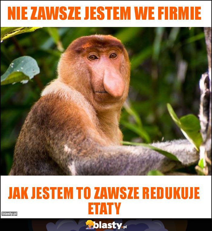 Nie zawsze jestem we firmie