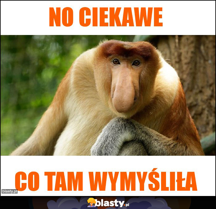 No ciekawe