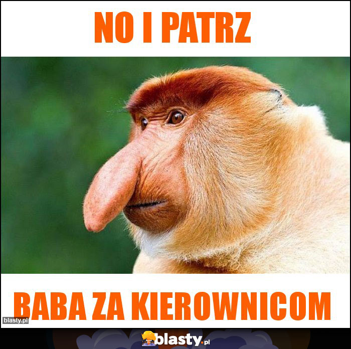 No i patrz