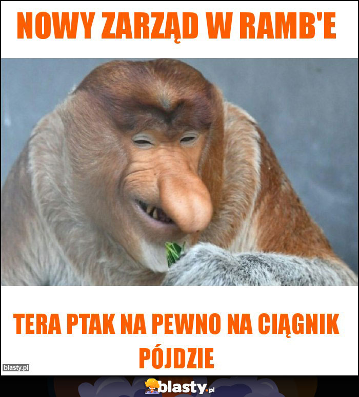 Nowy zarząd w RAMB'E