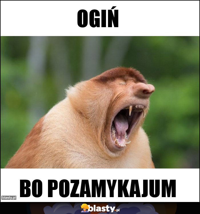 OGIŃ