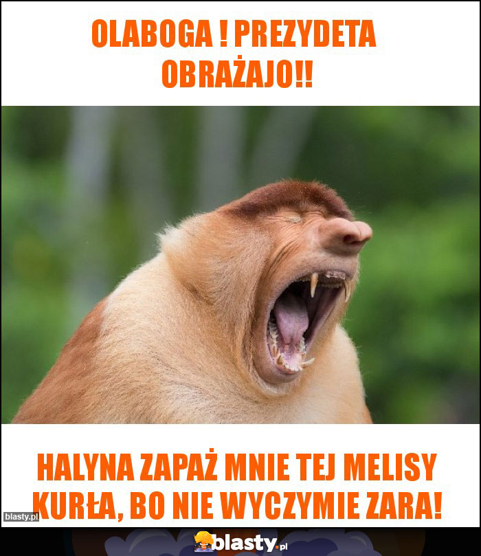 Olaboga ! Prezydeta  obrażajo!!