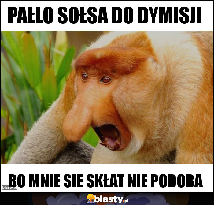 Pałlo Sołsa do dymisji